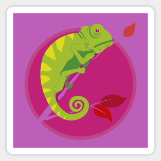 Chameleon Magnet